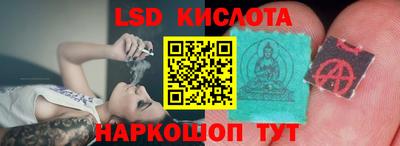 гидра Краснодар