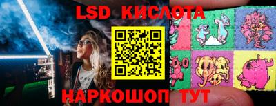 гидра Краснодар