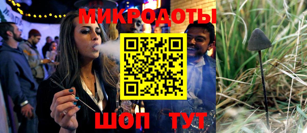 Псилоцибиновые грибы Psilocybe Южно-Сахалинск