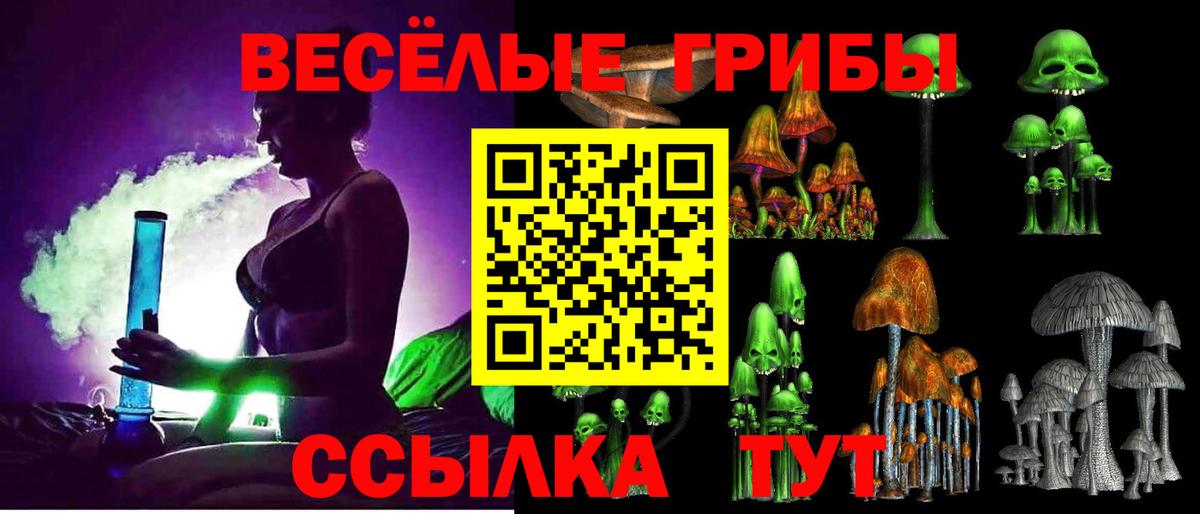 Южно-Сахалинск  Псилоцибиновые грибы Cubensis  Вход с VPN  продажа наркотиков  Галлюциногенные грибы мицелий 